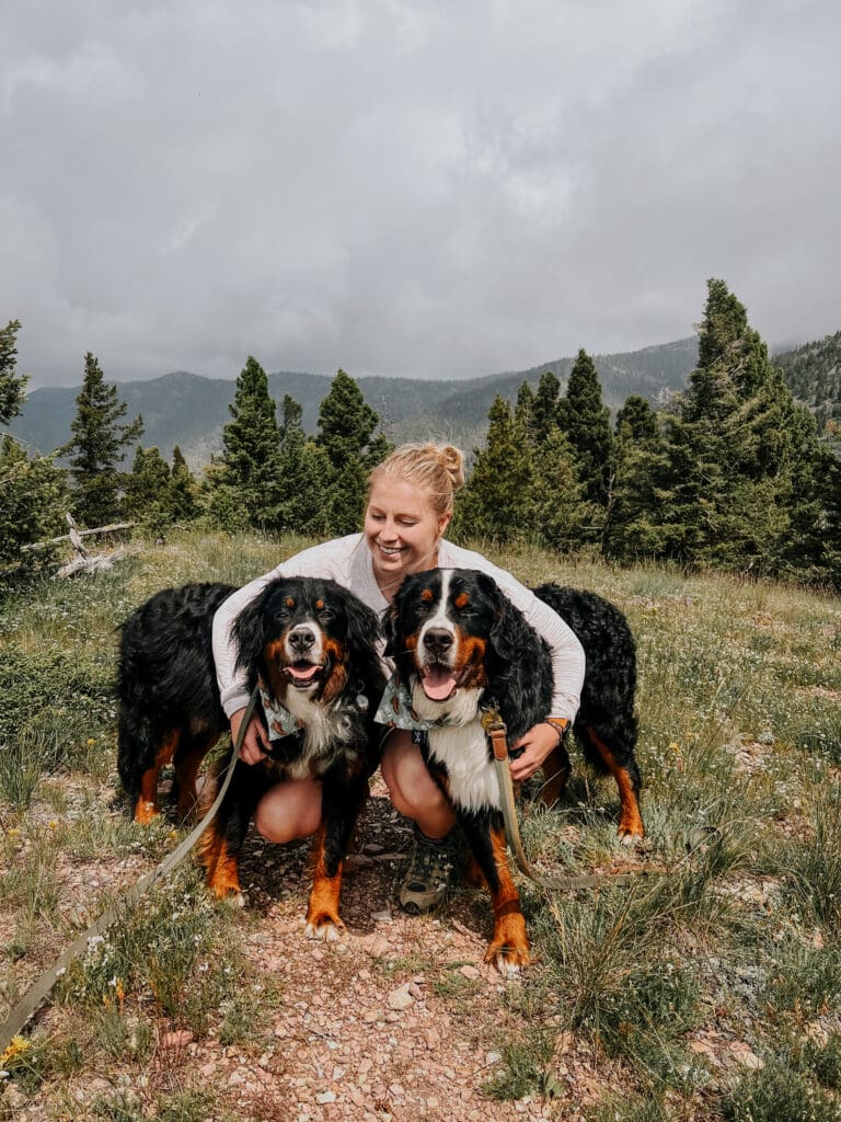 H Frandsen - puppers - Helena Area Community Foundation