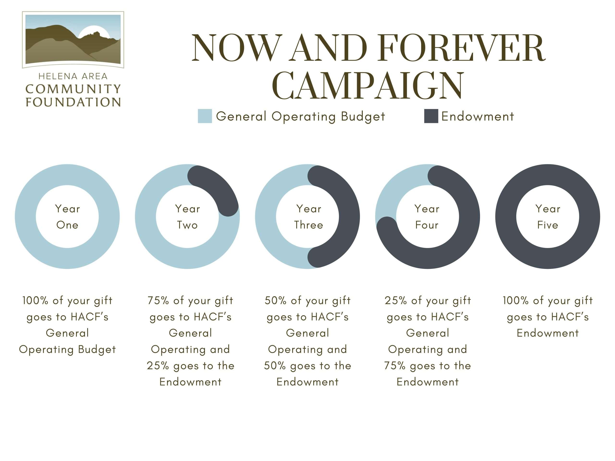 Now and Forever Campaign Infographic - Helena Area Community Foundation